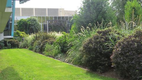 À Angers  (49), une trame arborée multistrate a été implantée dans la partie la plus récente du parc labellisé EcoJardin de l’ESA. © LKP 